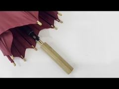 Зонтик продвижения